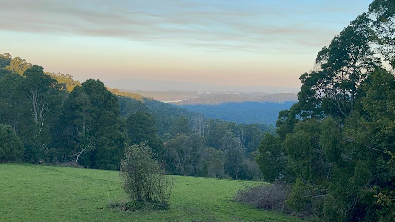 Dandenong Ranges