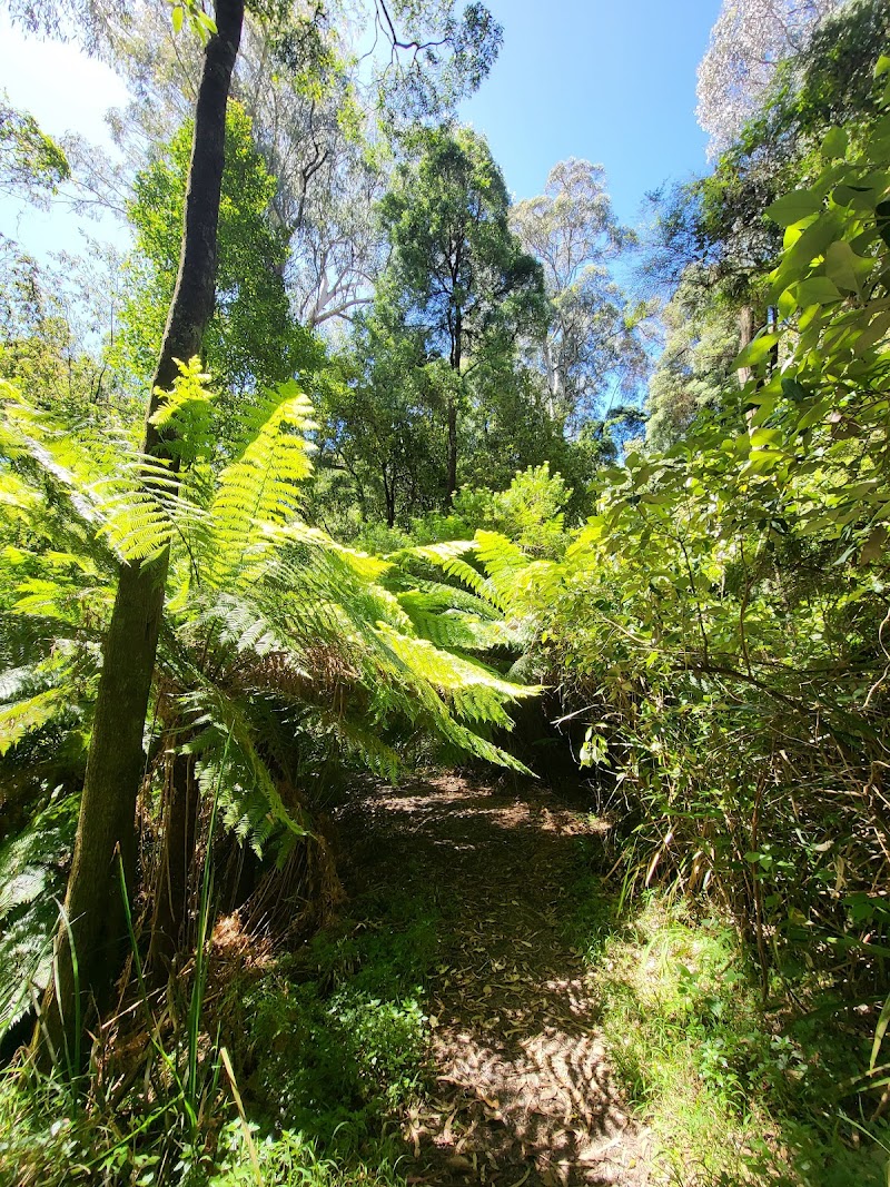 Dandenong Ranges