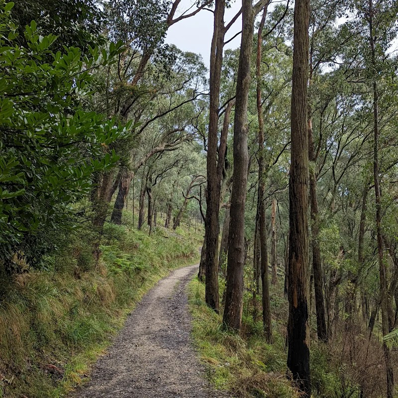 Dandenong Ranges