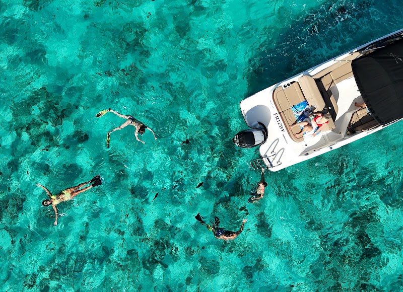 Deep Sea Fishing Charter