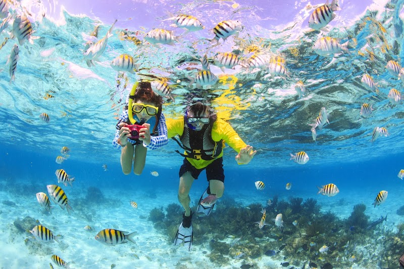 Deep Sea Fishing Charter