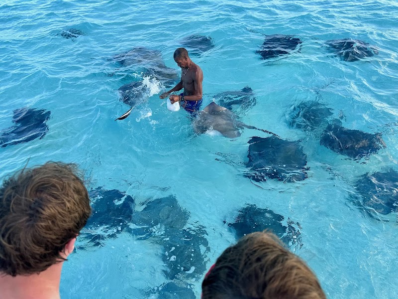 Deep Sea Fishing Charter