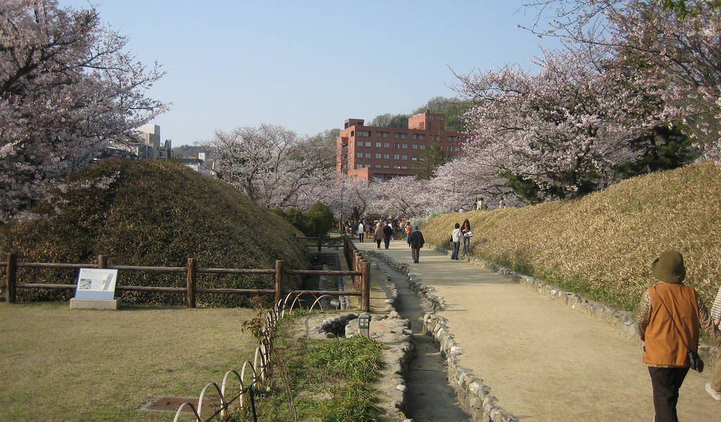 Dogo Park