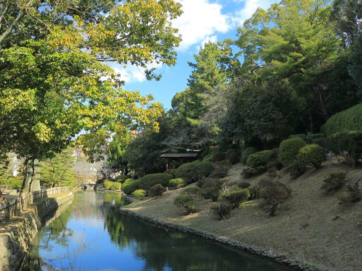 Dogo Park