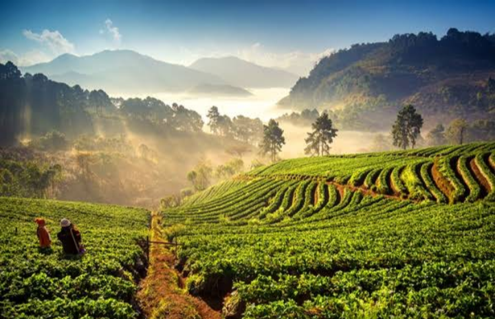 Doi Ang Khang