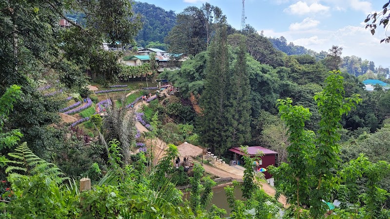 Doi Pui Hmong Village