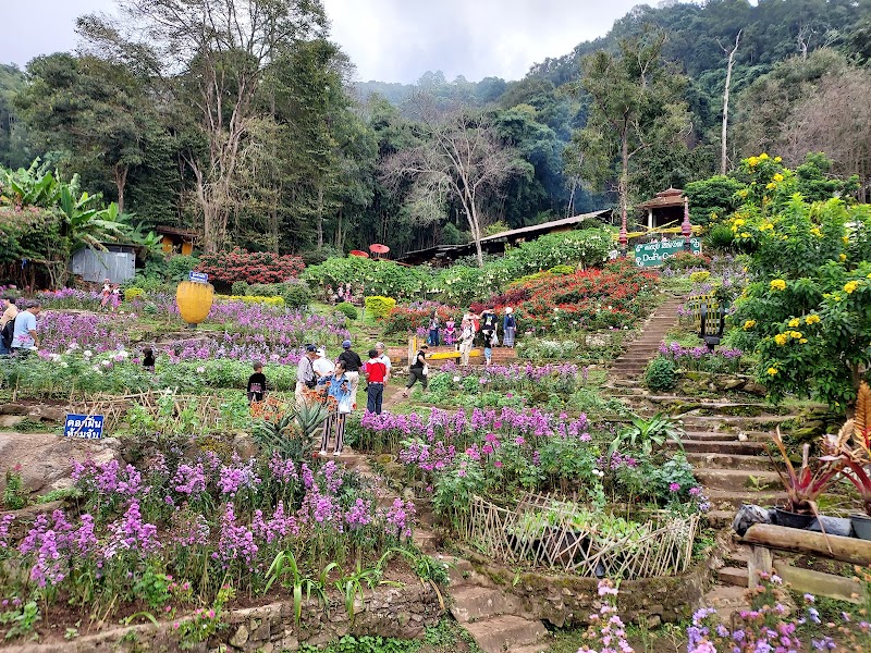 Doi Pui Hmong Village