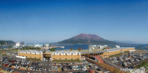 Dolphin Port