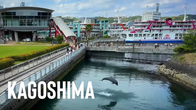 Dolphin Port