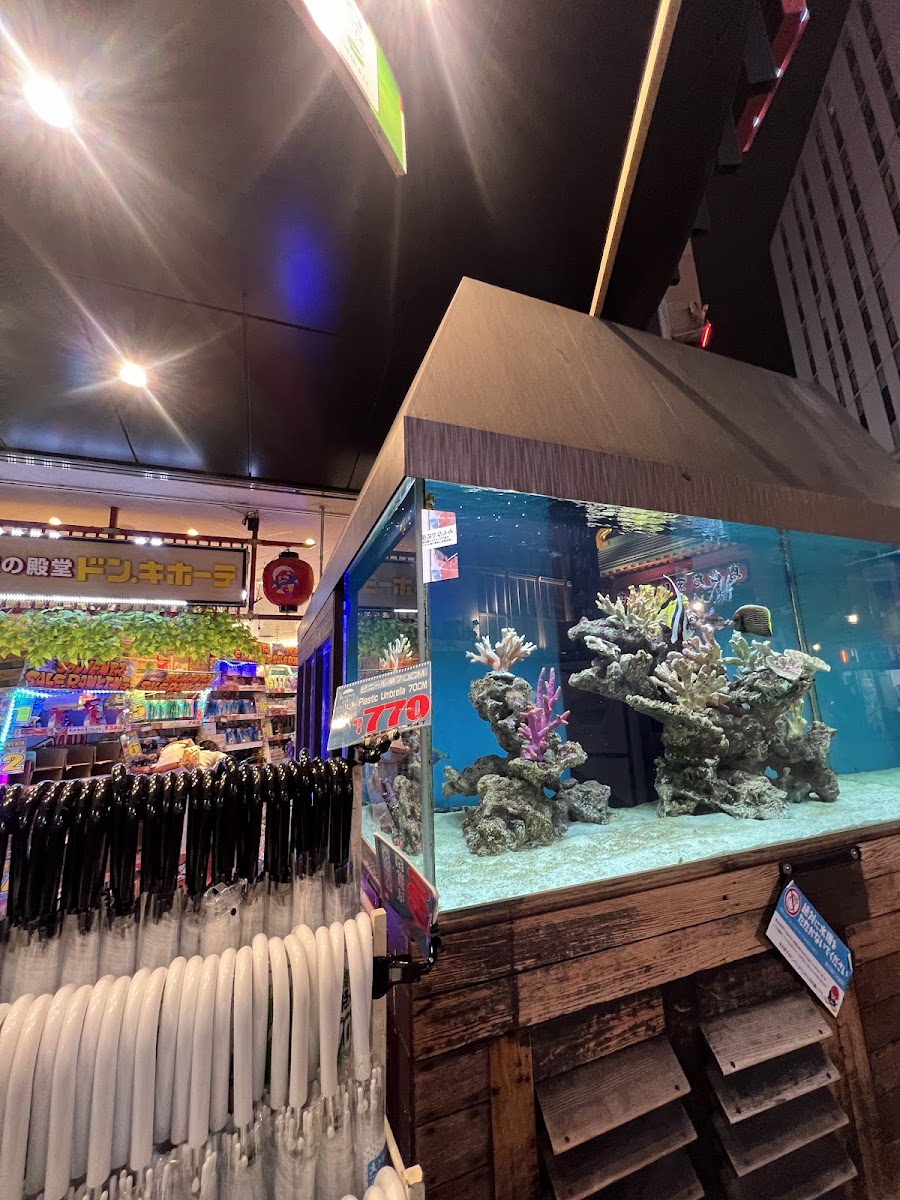 Don Quijote Asakusa