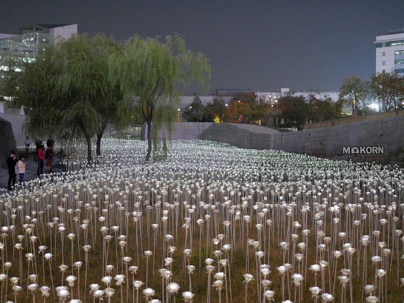 Dongdaemun Design Plaza (DDP)