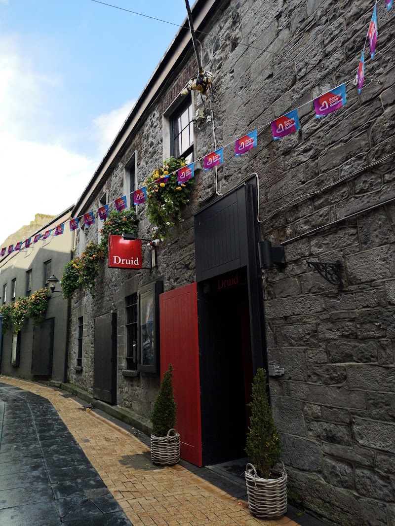 Druid Theatre