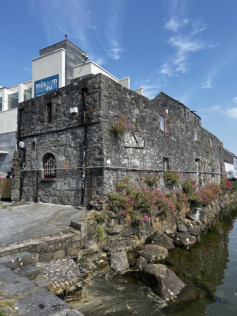 Druid Theatre