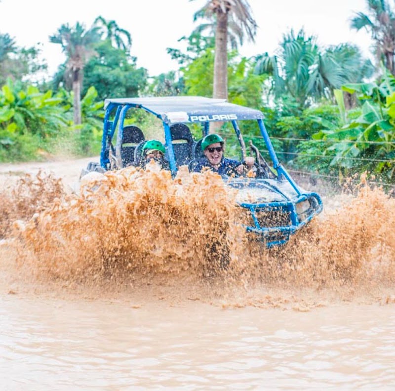 Dune Buggy Adventure