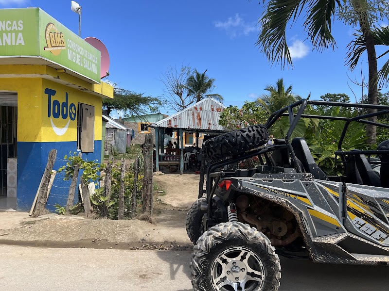 Dune Buggy Adventure