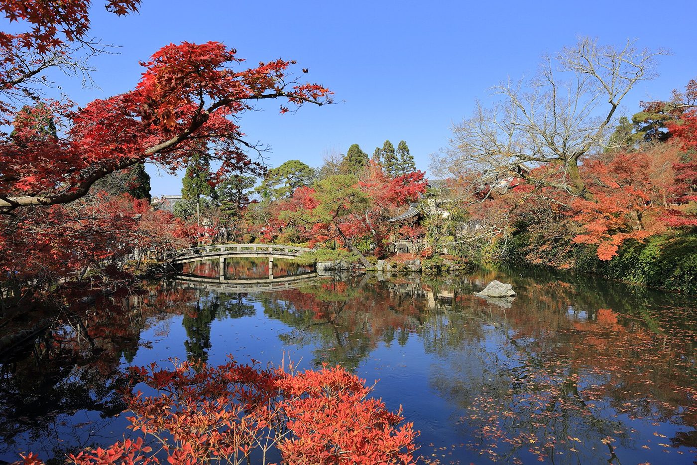 Eikan-do Zenrin-ji (Autumn)