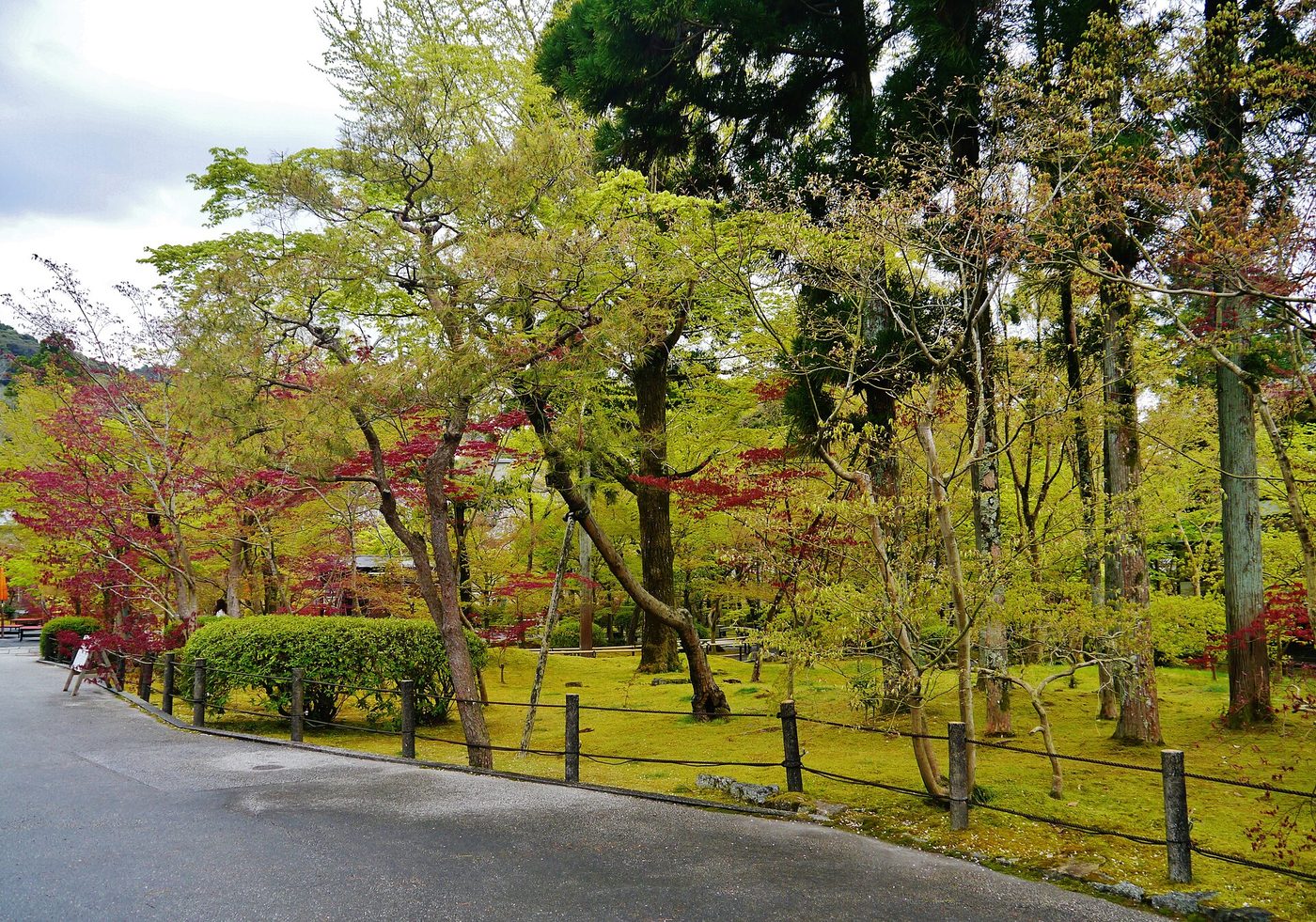 Eikan-do Zenrin-ji (Autumn)
