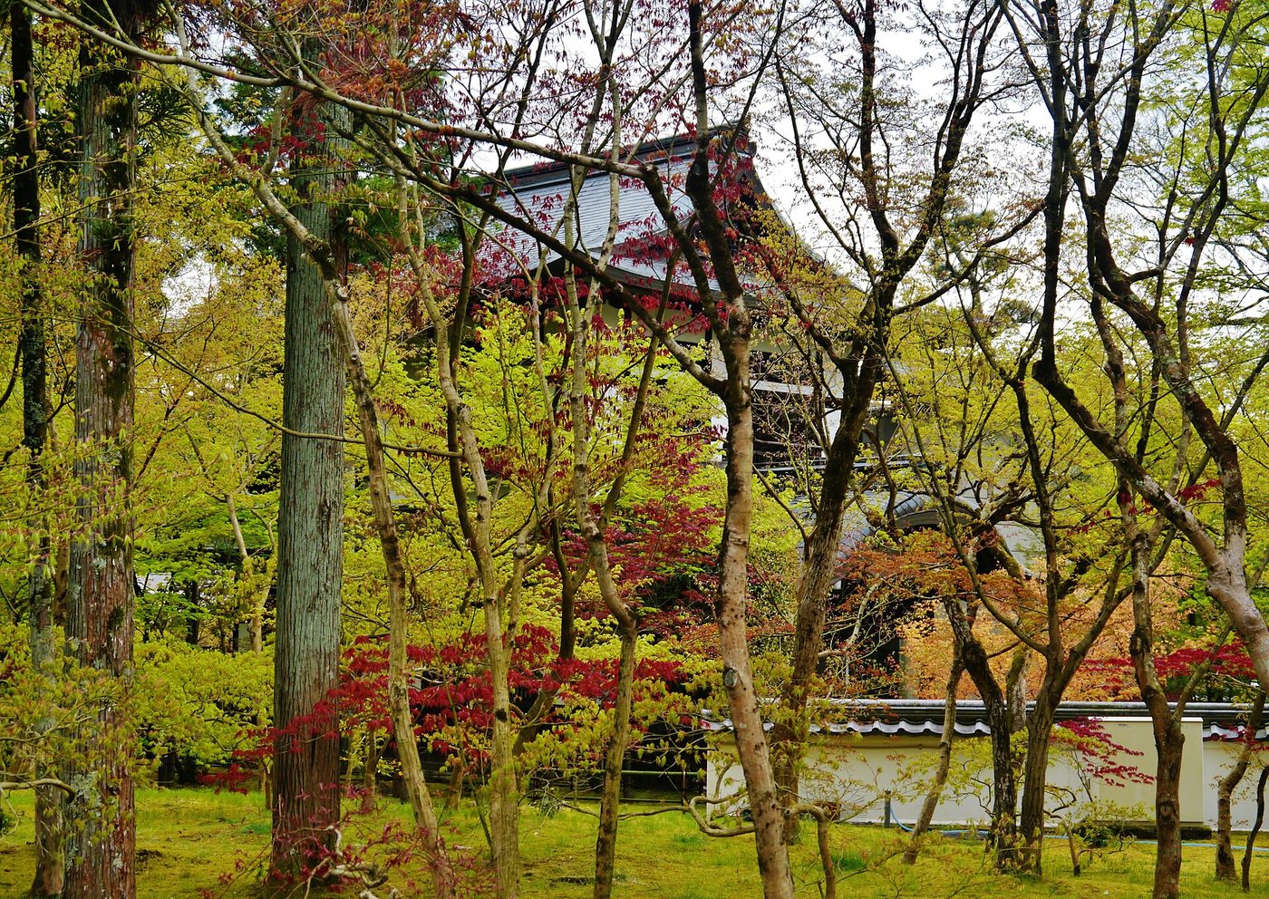 Eikan-do Zenrin-ji (Autumn)
