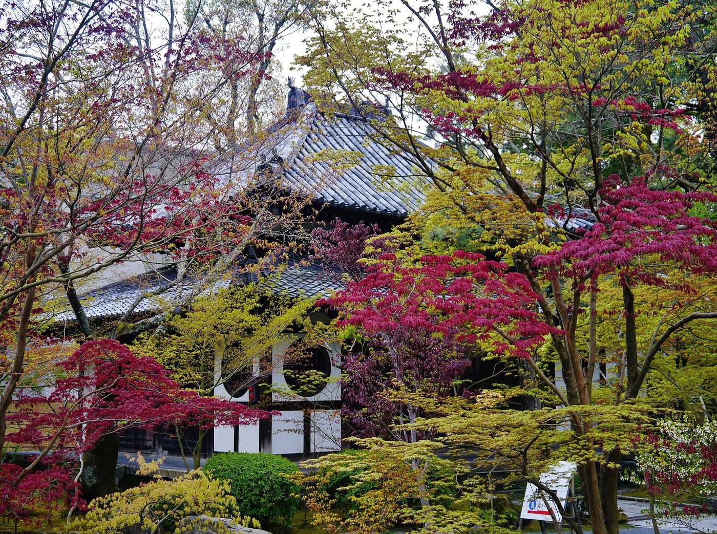 Eikan-do Zenrin-ji (Autumn)