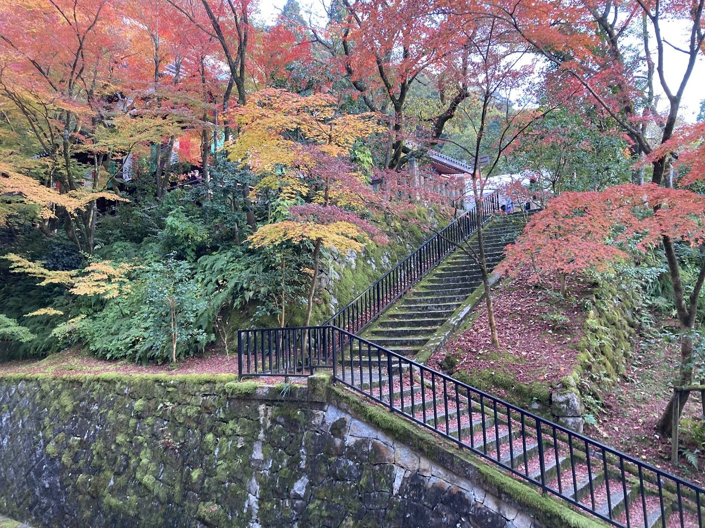 Eikando Temple