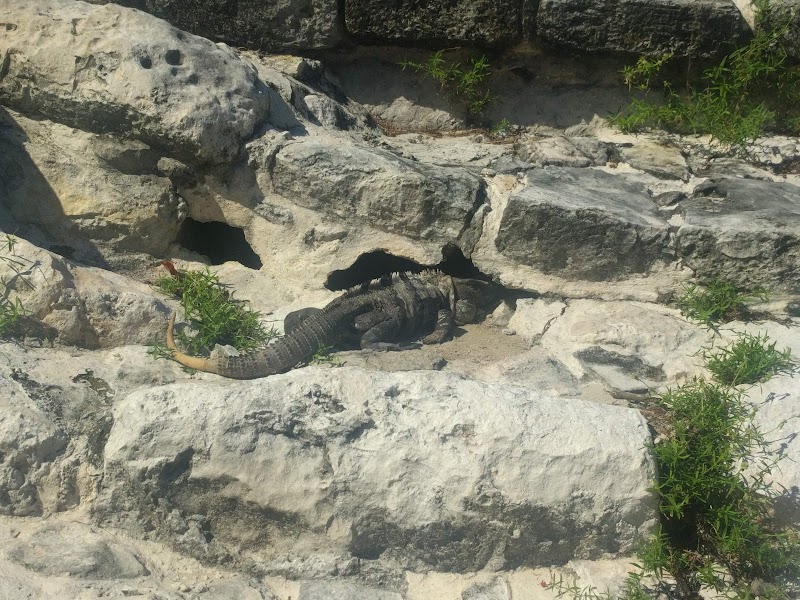 El Rey Ruins
