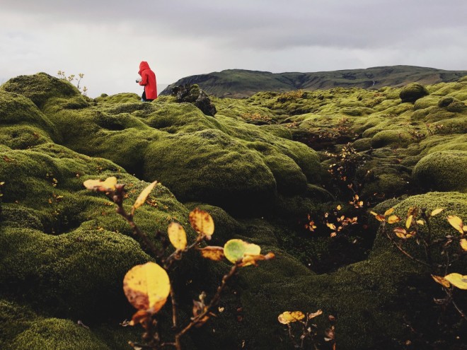 Eldhraun Lava Field