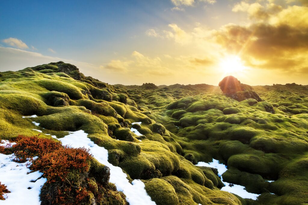 Eldhraun Lava Field
