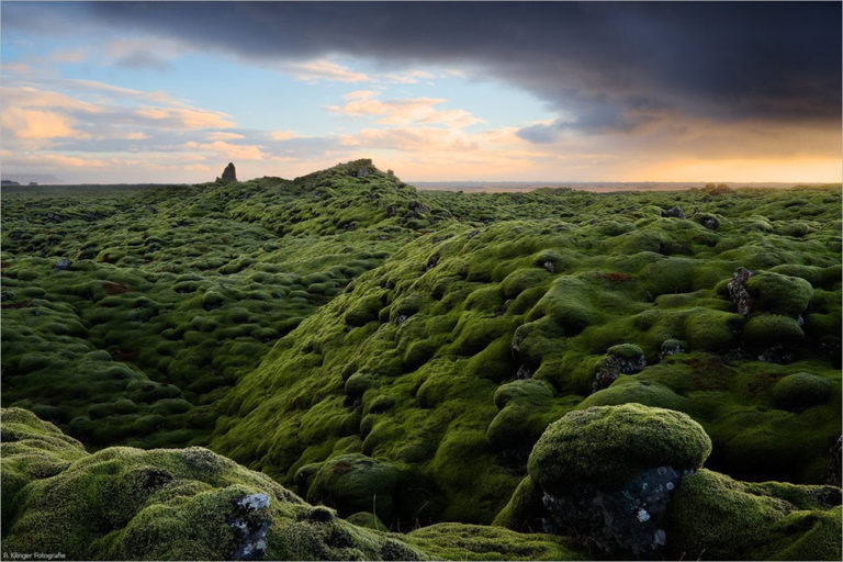 Eldhraun Lava Field