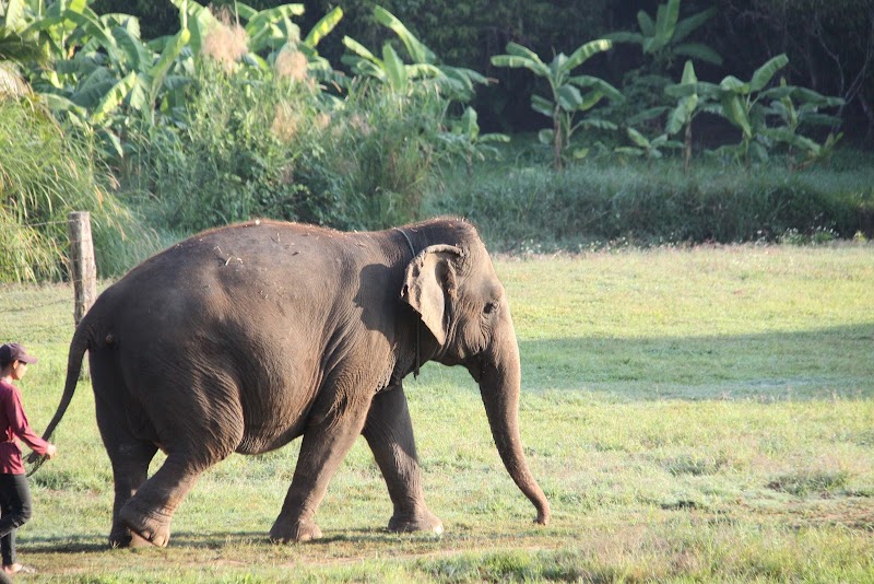Elephant Jungle Sanctuary