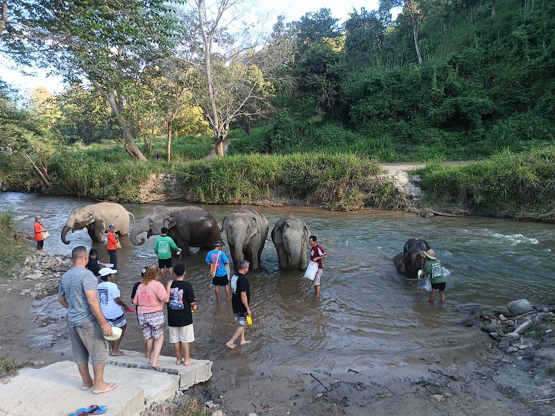 Elephant Jungle Sanctuary