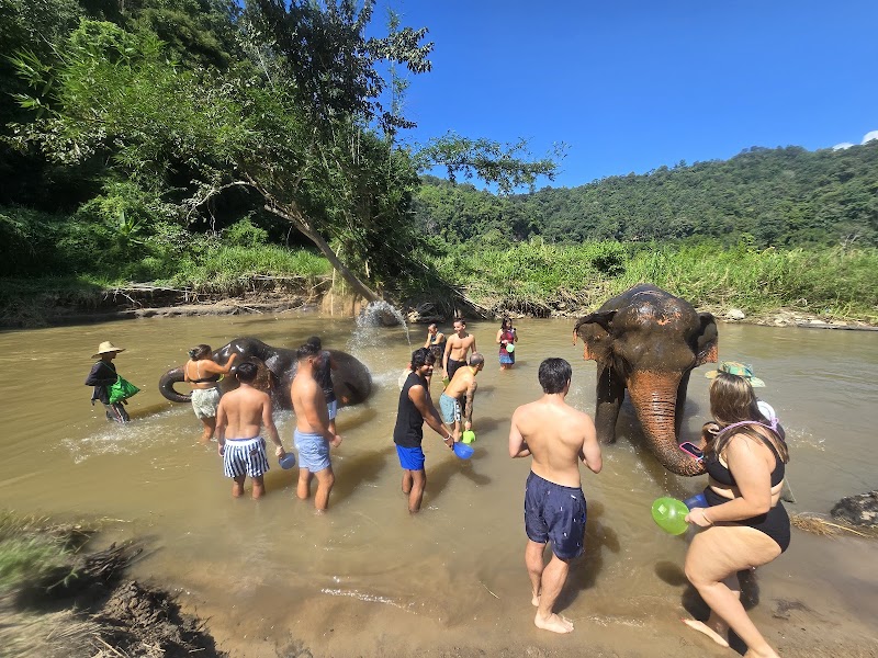 Elephant Jungle Sanctuary
