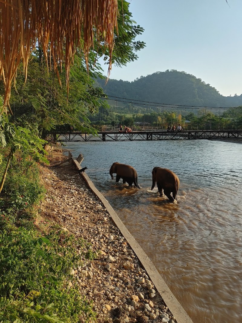 Elephant Nature Park