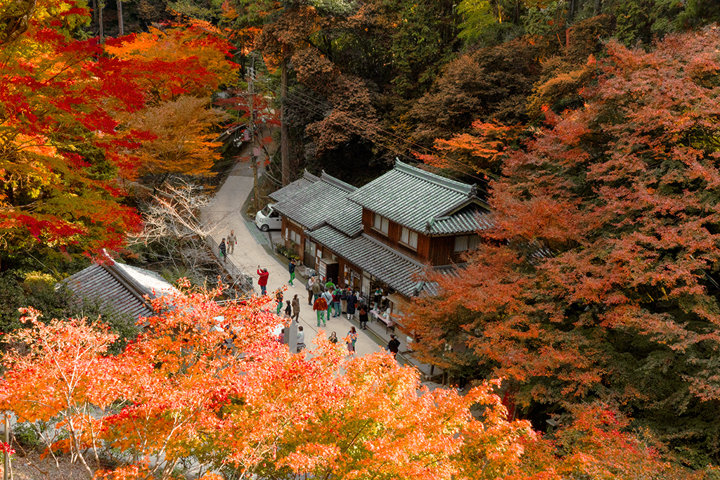 Engyo-ji Healing Walk
