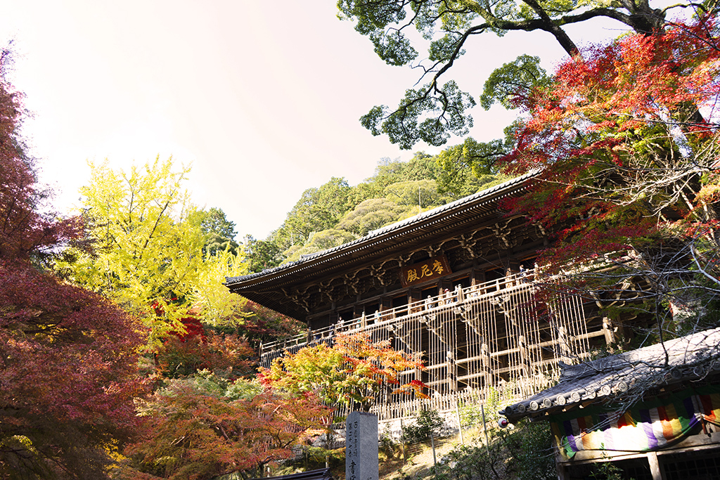Engyo-ji Temple (Mount Shosha)