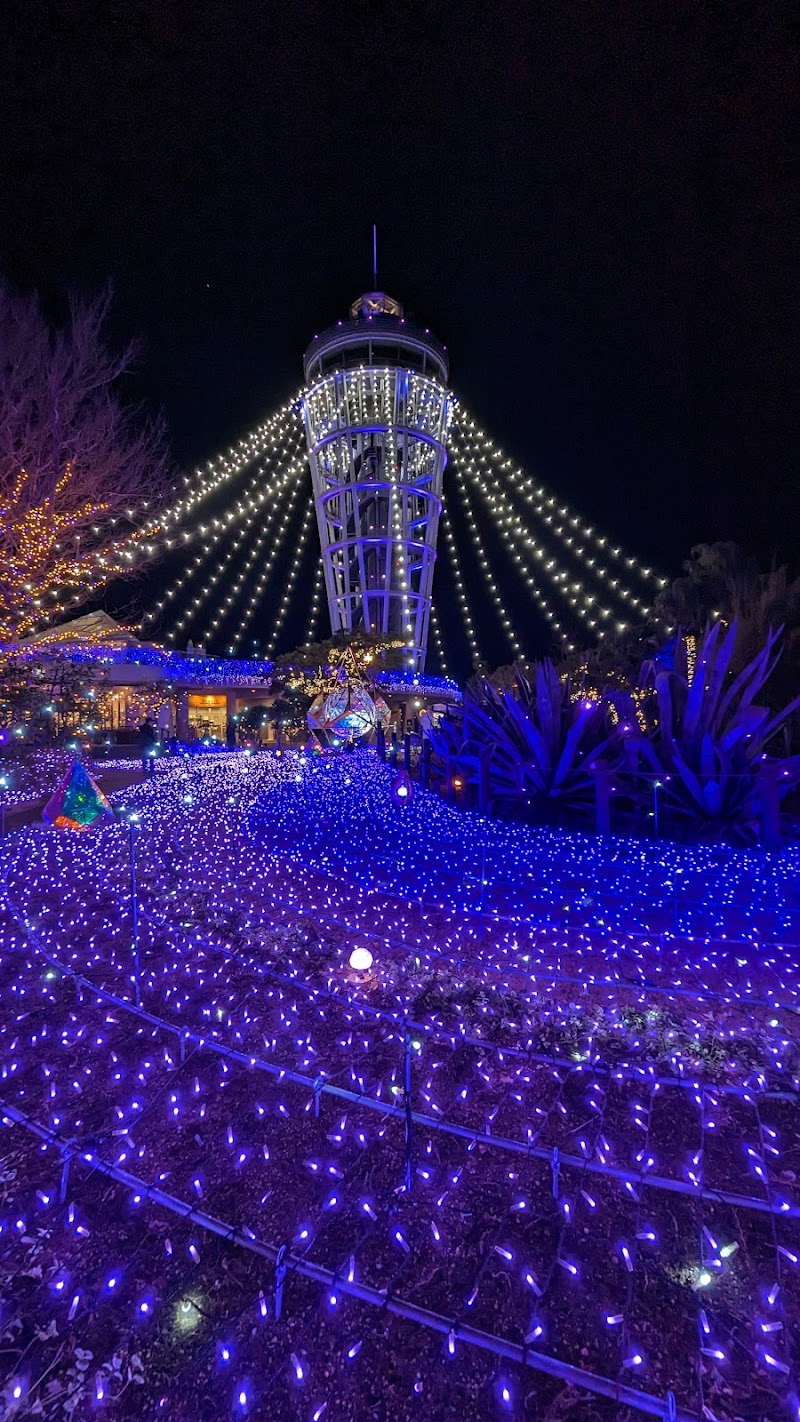 Enoshima Sea Candle