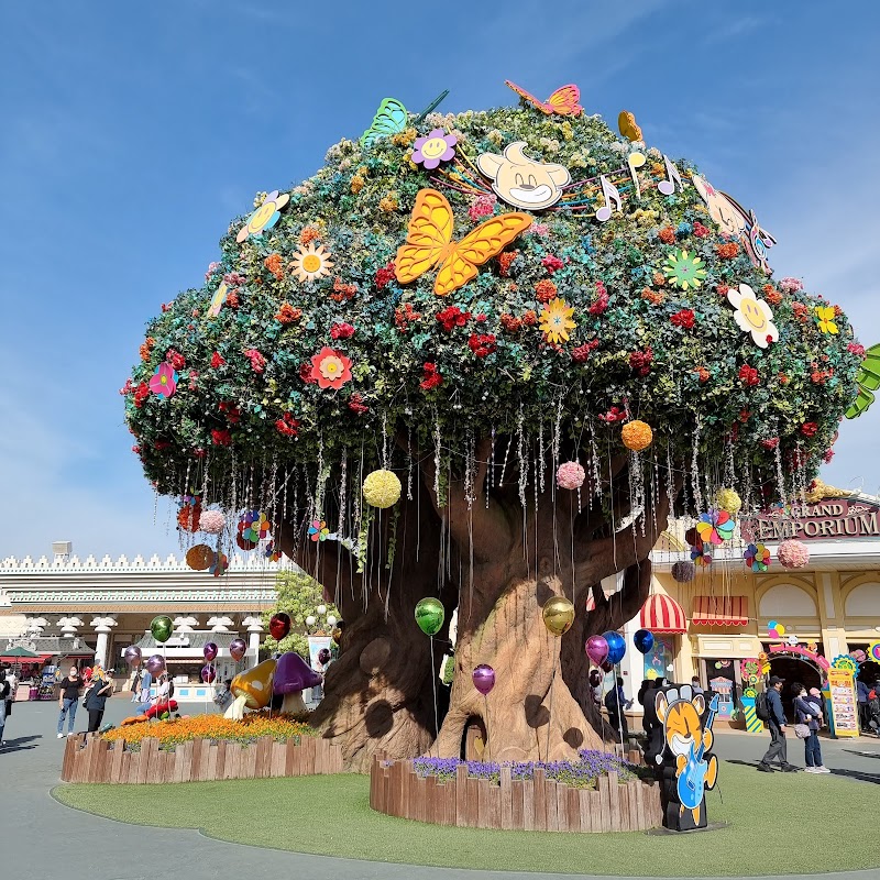 Everland Theme Park