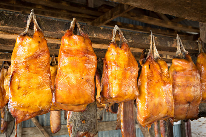 Fermented Shark Tasting (Hákarl)