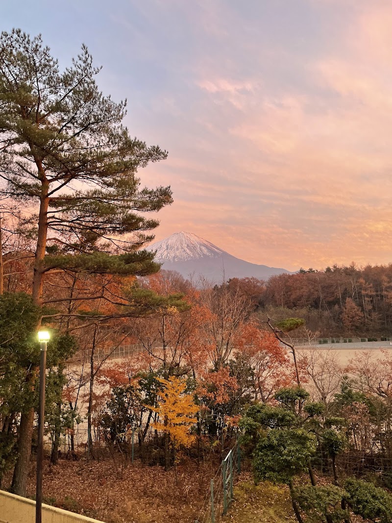 Fuji Yurari Onsen