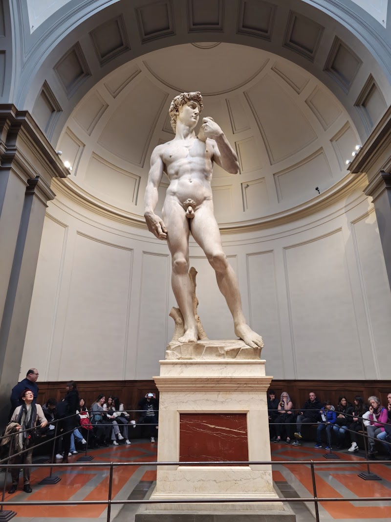 Galleria dell'Accademia (David)