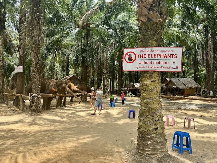 Krabi Elephant Shelter