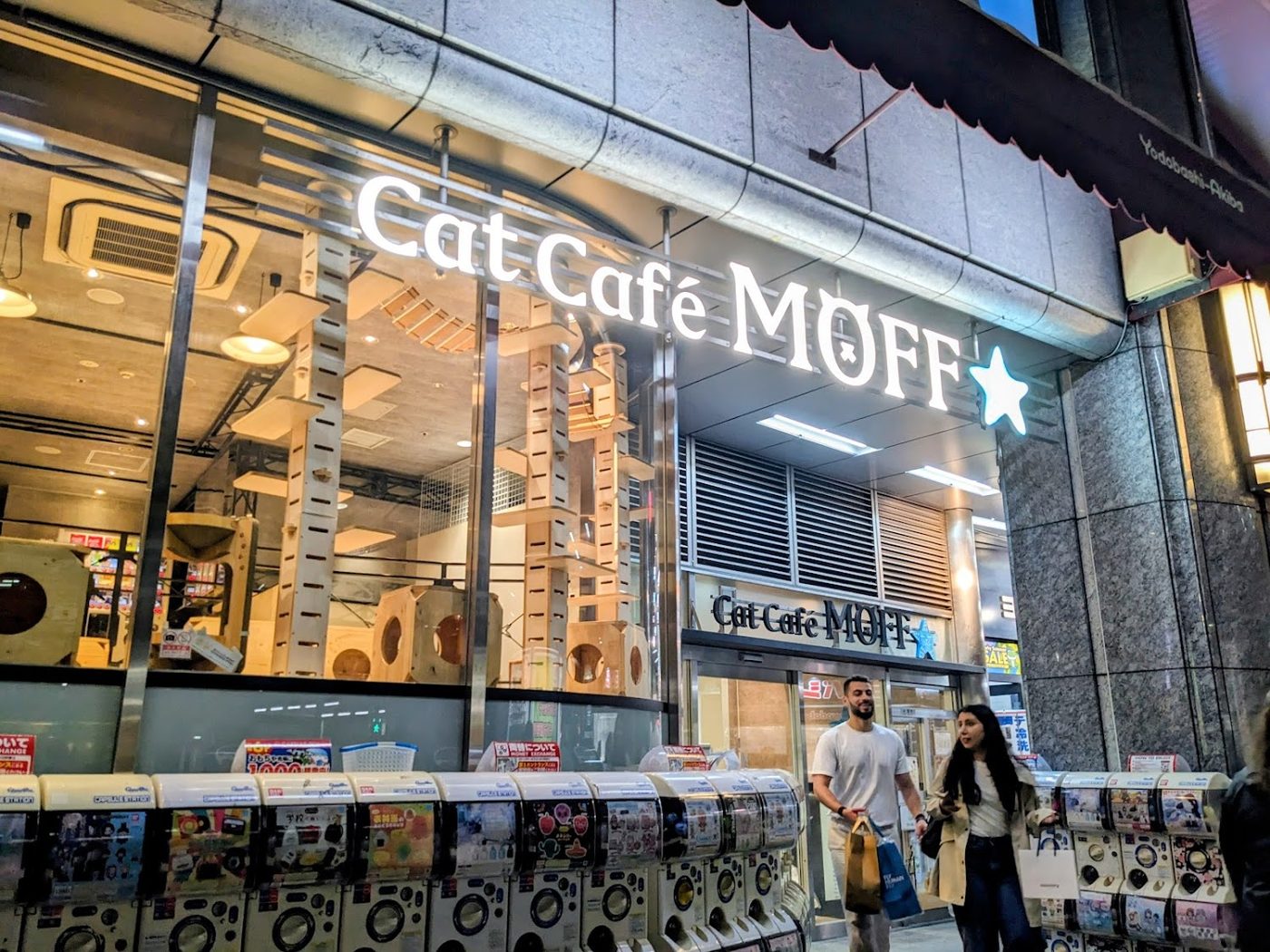 Cat Cafe MOFF Yodobashi Akiba