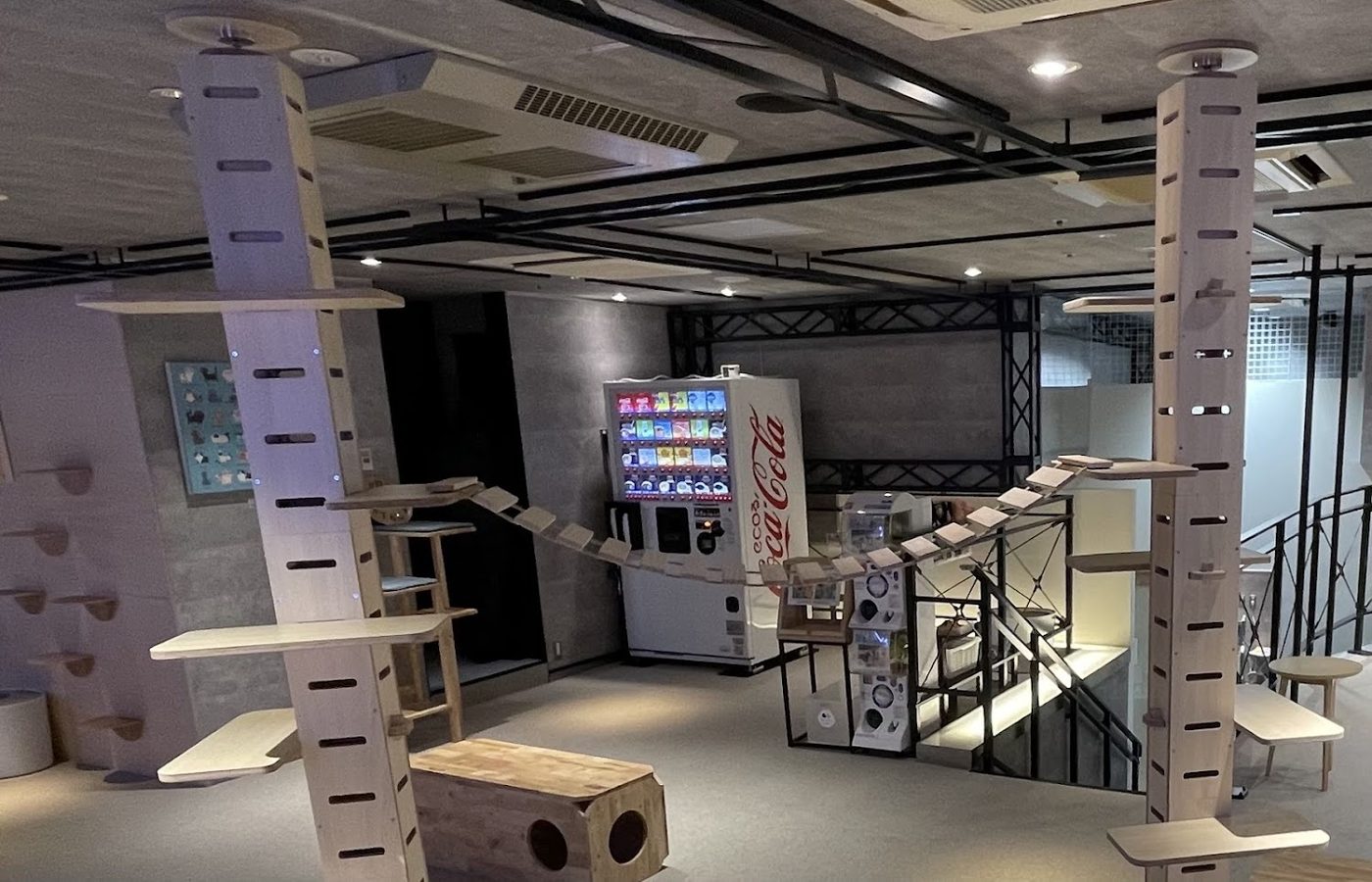 Cat Cafe MOFF Yodobashi Akiba