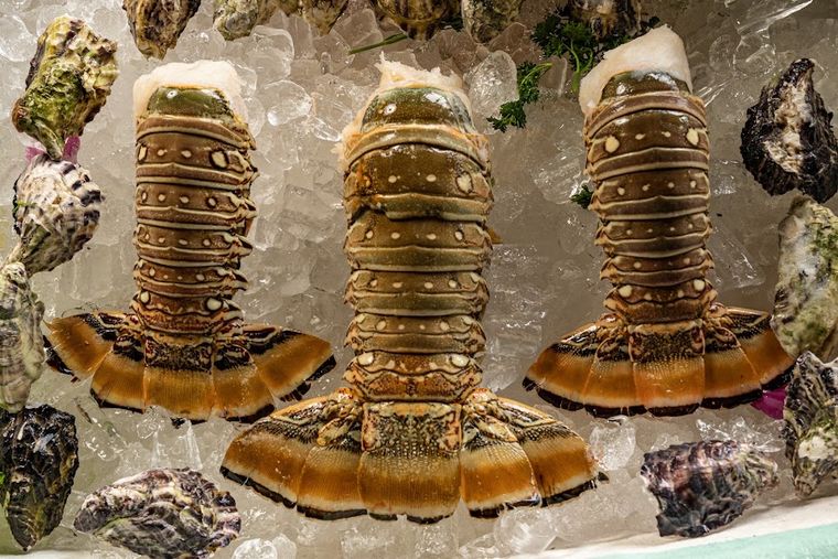 EL Oasis Seafood