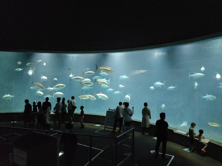 Tokyo Sea Life Park