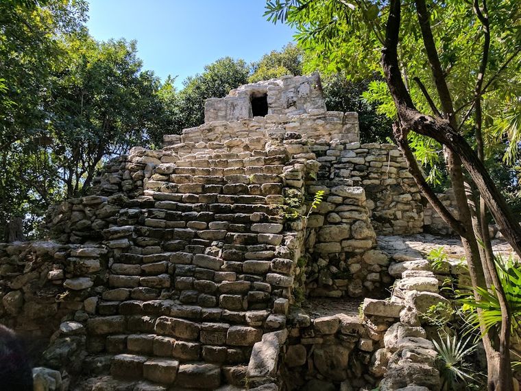 Delphinus Xcaret