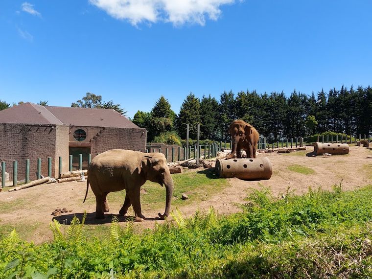 Belfast Zoo