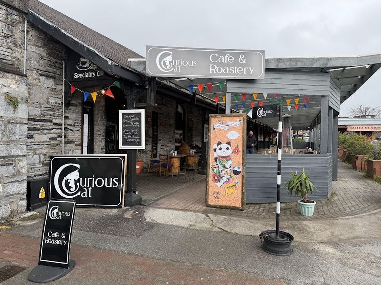 Curious Cat Café