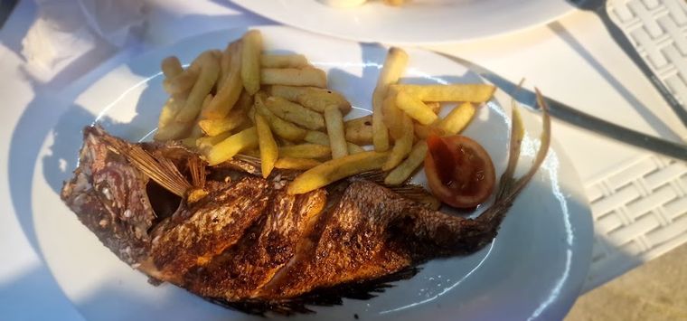 Bar Restaurante Ballena Blanca - Malecon Samana