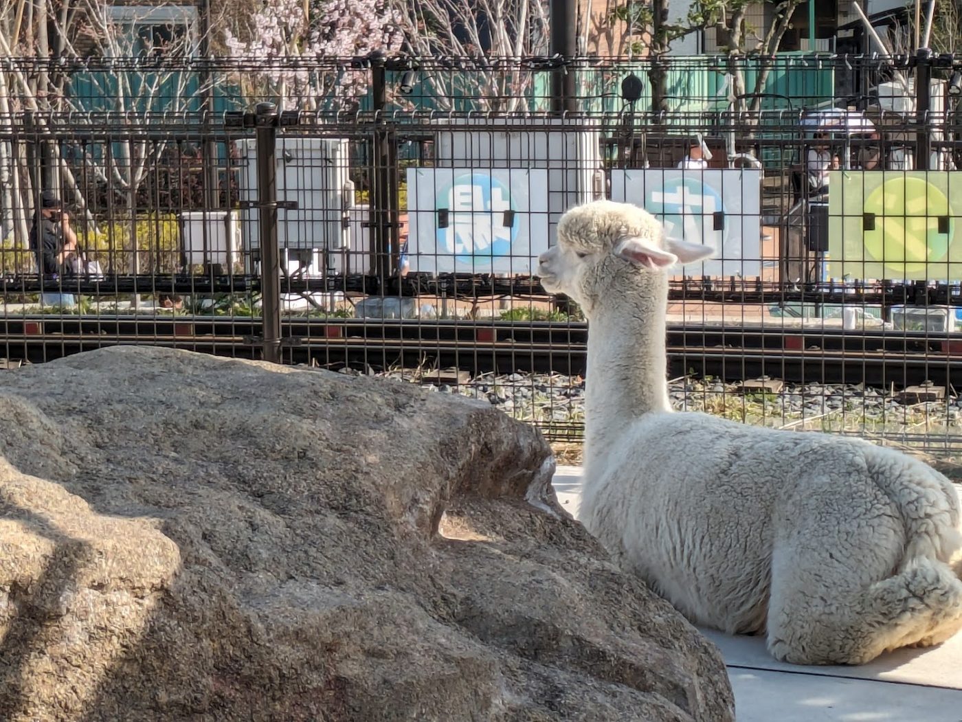 Arakawa Amusement Park