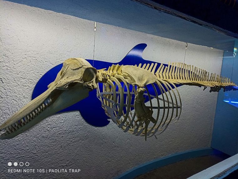 Interactive Aquarium Cancún